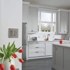 Legrand radiant 15 Amp 125 Volt Tamper Resistant Decorator Outlet, Nickel -Surge Protectors Sales Store nickel legrand electrical outlets receptacles 885trnicc12 4f 1000